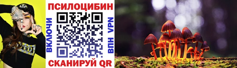 наркошоп  Яхрома  Псилоцибиновые грибы GOLDEN TEACHER 