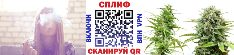 Марихуана сатива как найти закладки Яхрома